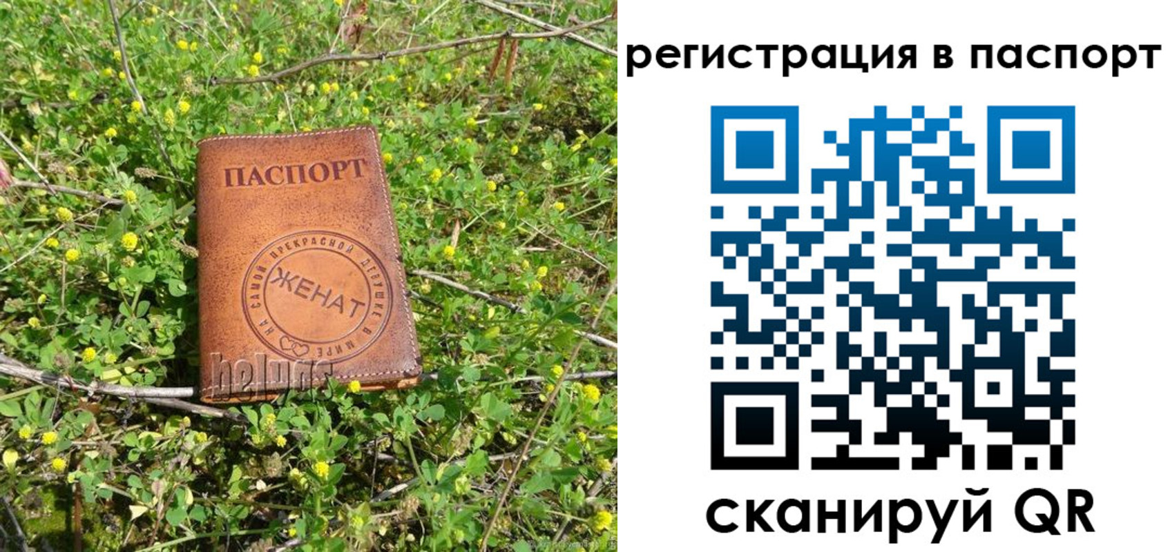 прописка для кредита в Щиграх